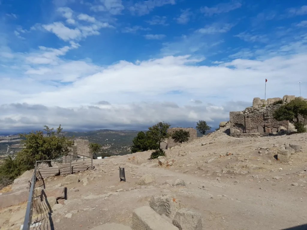 DOĞA